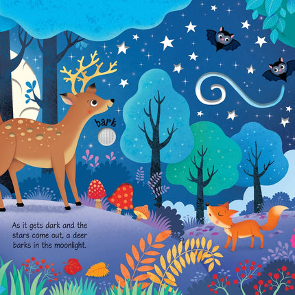 A patra pagina a cartii Woodland Sounds