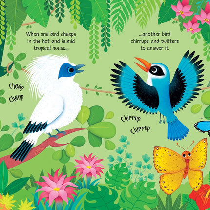 Prima pagina a cartii Zoo Sounds